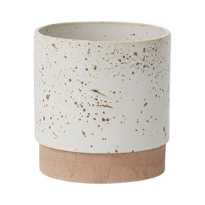 Speckled Planter