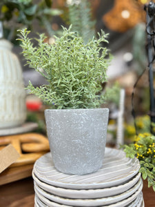 Herb Pot