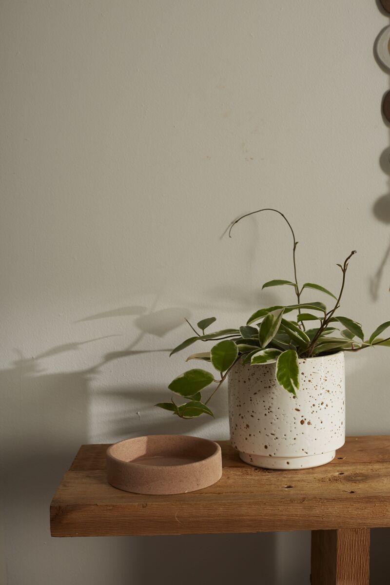 Speckled Planter