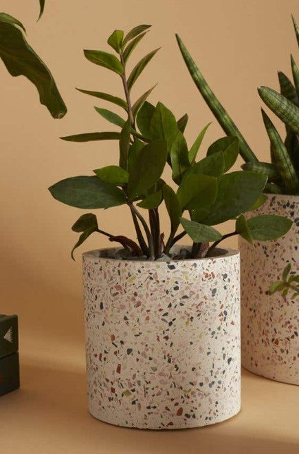 terrazzo plant pot Terrazzo Pot – Rustik Market