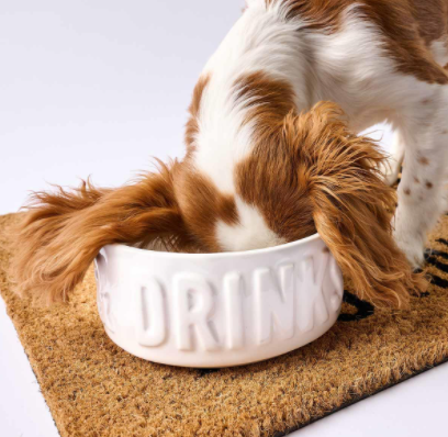 Stacked Dog Bowl Set